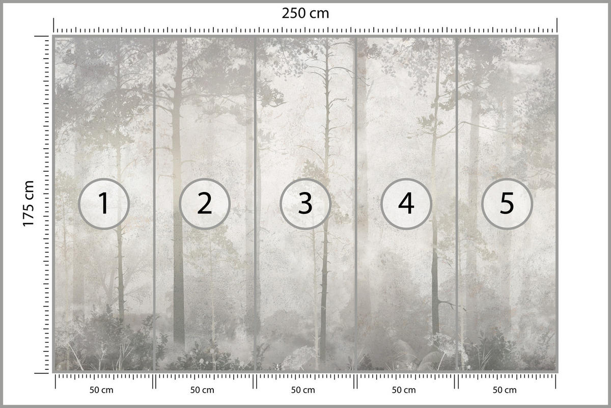FOTOTAPETA Pre Obývaciu Izbu Hmlistý Les Vintage Stromy 250 x 175 cm - sivá/béžová, papier (250/175cm) - Muralo