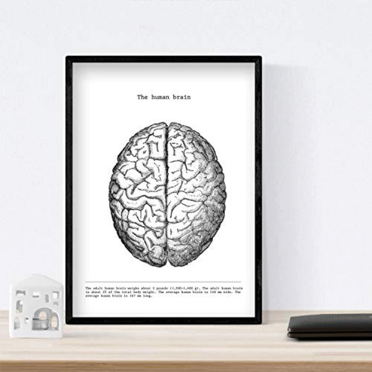 POSTER Set mit 3 Anatomie Vintage Herz Gehirn Lunge Größe A4 Rahmenlos - Klar, Papier (21/1/29.7cm) - Nacnic