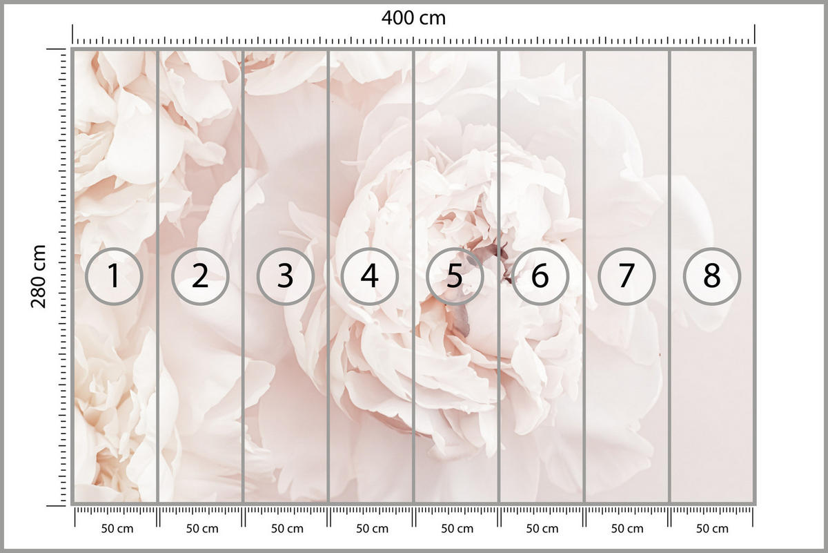 FOTOTAPETE für Schlafzimmer Pfingstrosen Blumen 3D 400x280 - Beige/Rosa, Papier (400/280cm) - Muralo