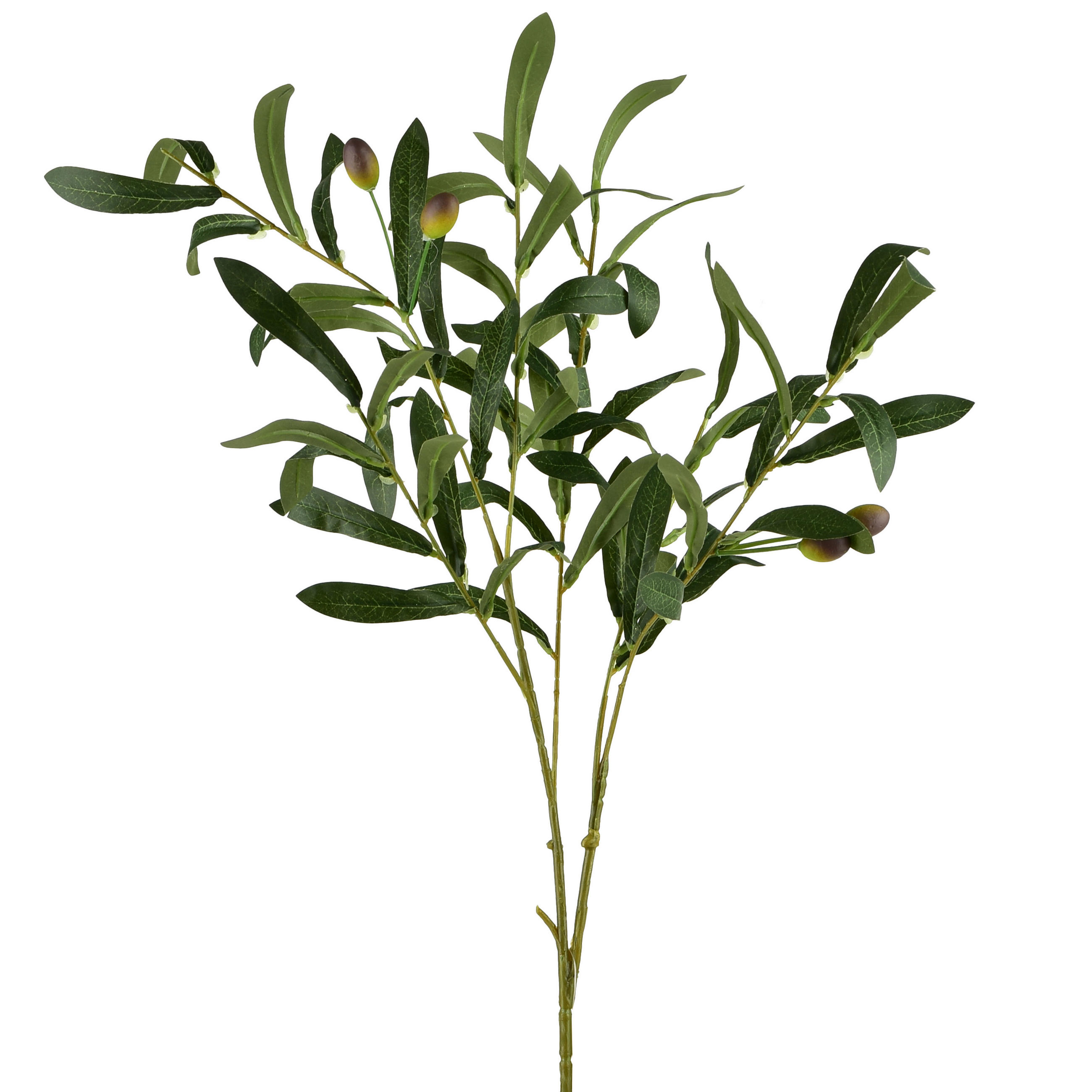UMELÁ VETVIČKA OLIVKY Viridis - zelená, plast (90cm) - Mondex