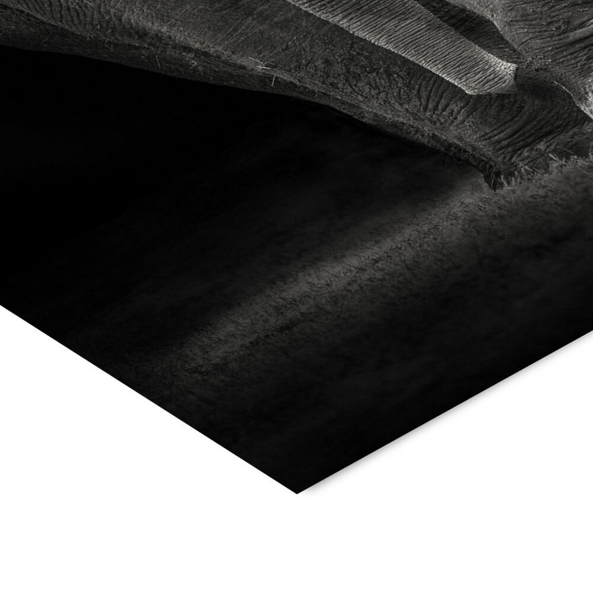 POSTER mit Rahmen Mario Moreno - Ngorongoro Bull - Dunkelgrau/Eichefarben, Holz/Papier (50/70cm) - Poster&Frame