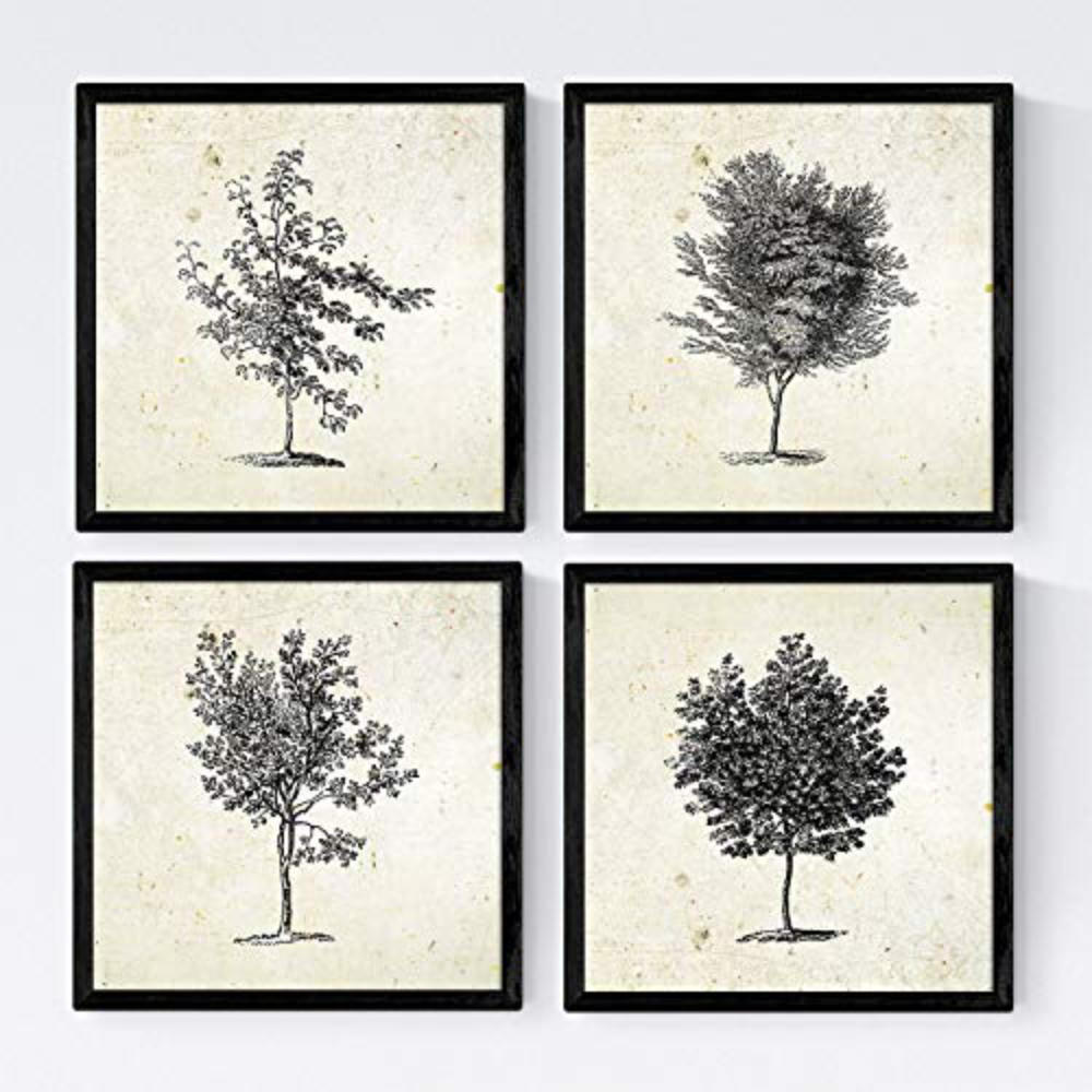 POSTER Set mit 4 Blättern der Grove Jahrgang Hintergrund 30x30 cm Rahmenlos - Klar, Papier (30/3cm) - Nacnic