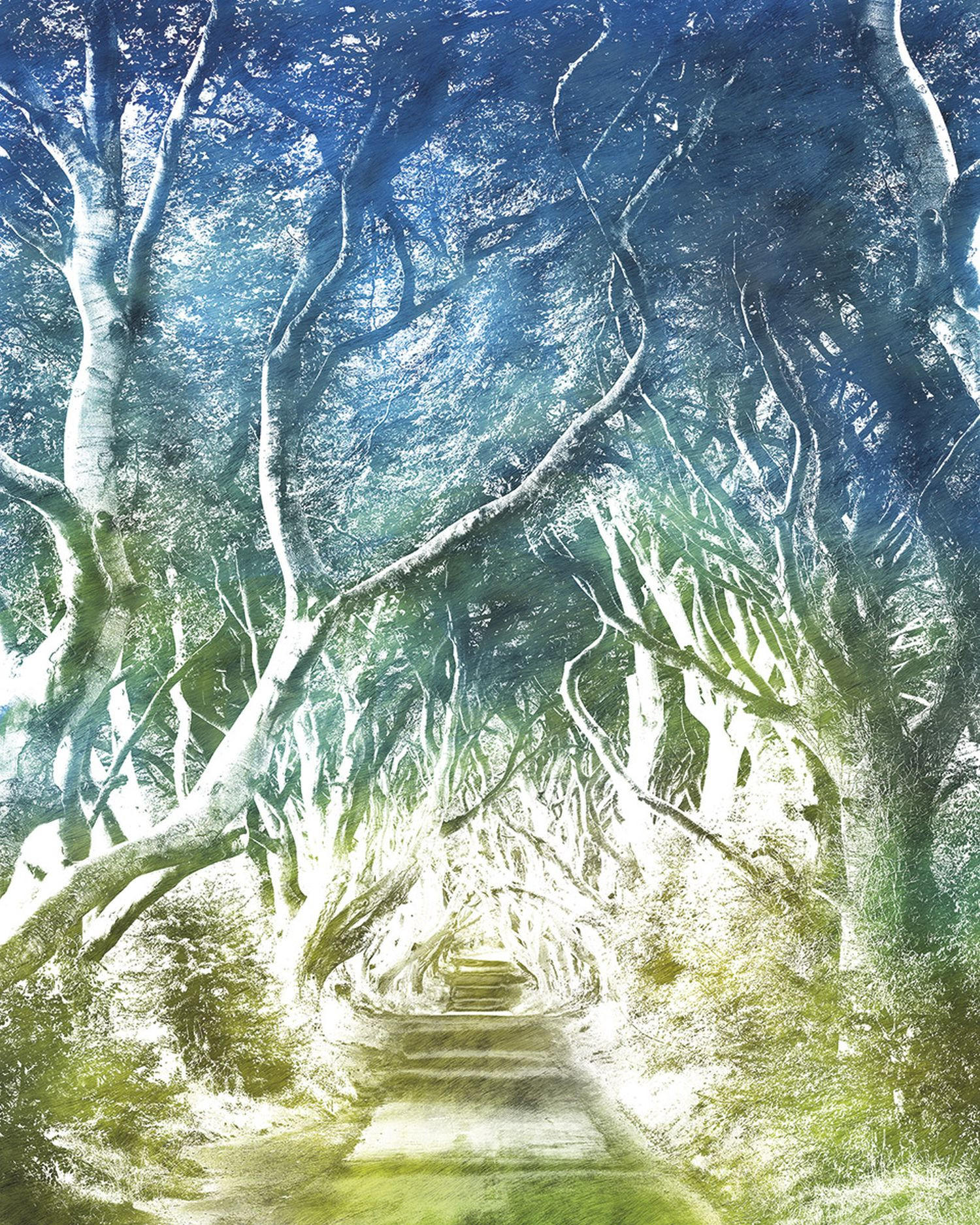 FOTOTAPETE Landschaft 200 x 250 cm - Grün, Papier (200/250cm) - Sanders & Sanders