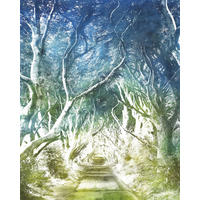 FOTOTAPETE Landschaft 200 x 250 cm - Grün, Papier (200/250cm) - Sanders & Sanders