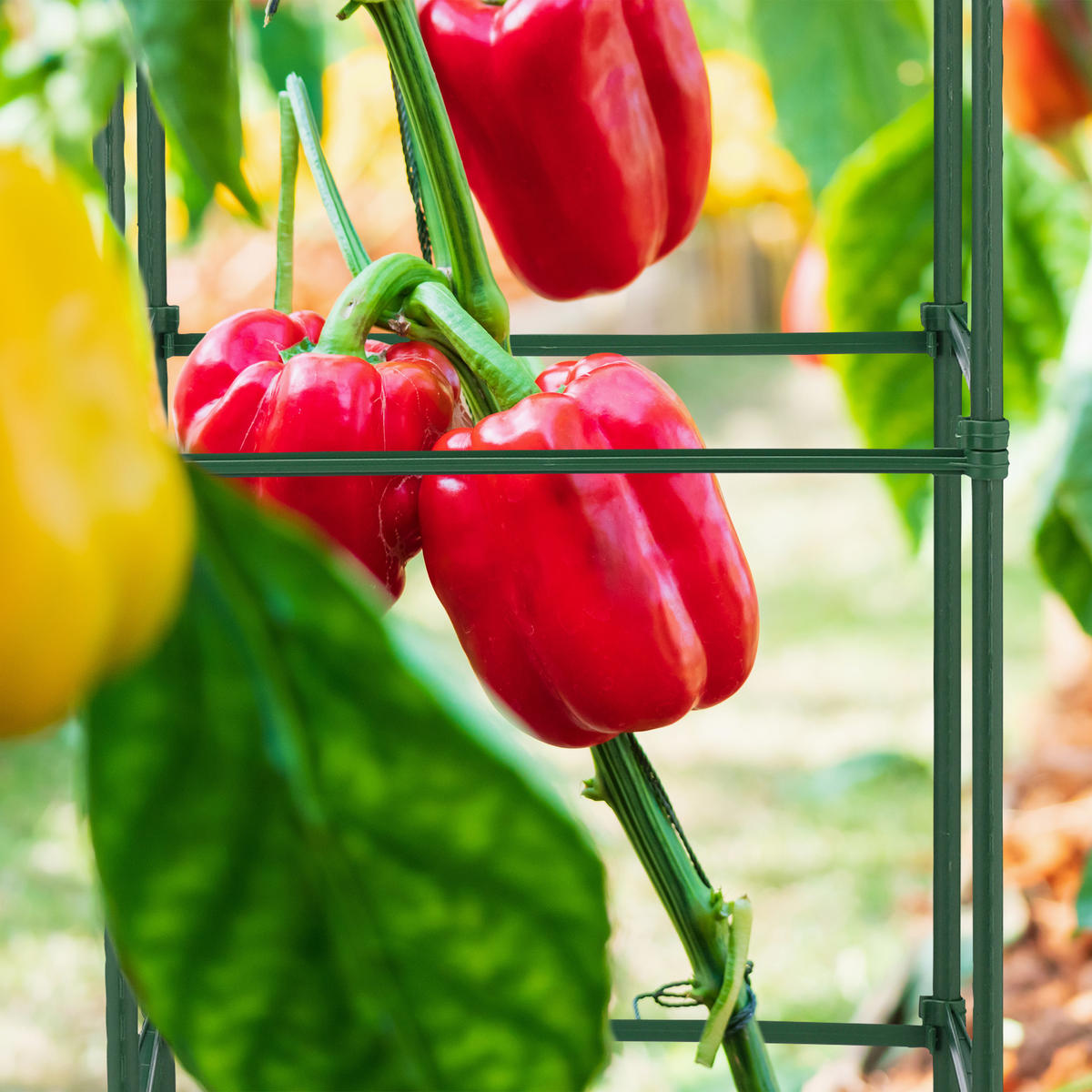 4XRANKHILFE - Dunkelgrün, Kunststoff/Metall (32/90/32cm) - Relaxdays