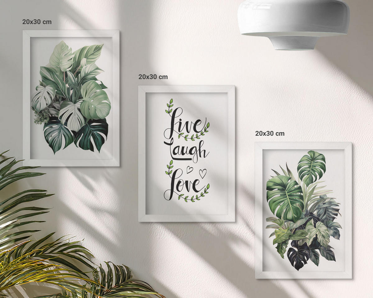 WANDBILDER 3er-Set - 20x30 cm Weißer Rahmen - Blattpflanzen leben, lachen, lieben - Weiß, Kunststoff (20/30cm) - ArtPrintCave