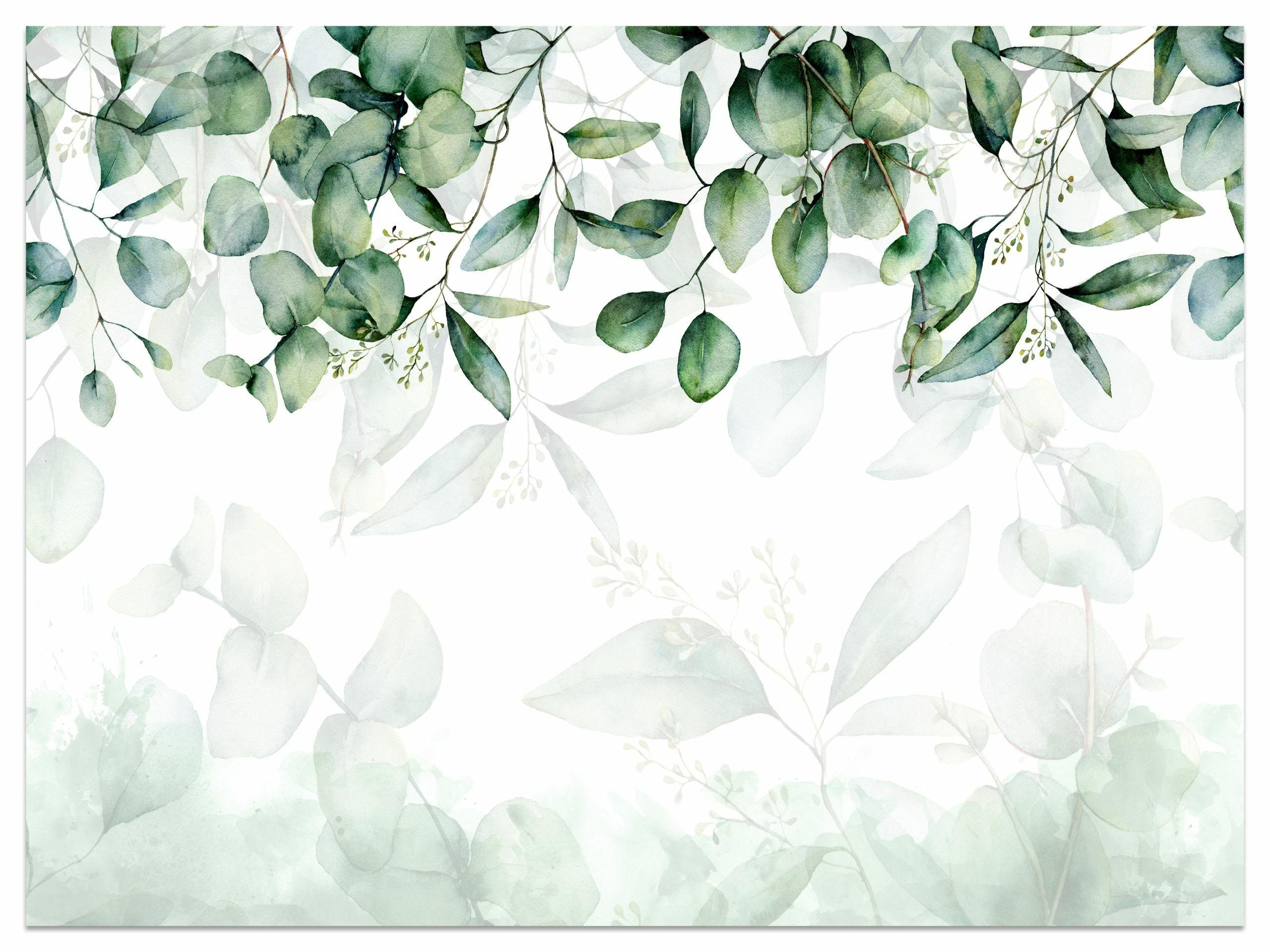 FOTOTAPETE Blätter Pflanzen Natur Für Wohnzimmer 180x120cm - Weiß/Grün, Papier (180/120cm) - Muralo