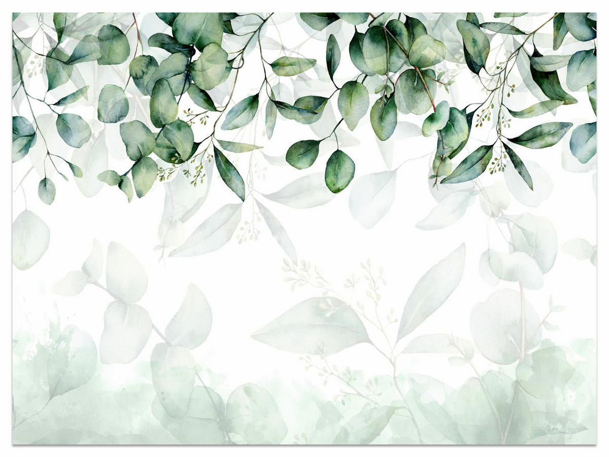FOTOTAPETE Blätter Pflanzen Natur Für Wohnzimmer 520x318cm - Weiß/Grün, Papier (520/318cm) - Muralo