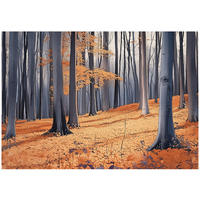 FOTOTAPETE Wald Bäume Natur Vlies Tapete Wohnzimmer 250x175 - Multicolor, Papier (250/175cm) - Wallarena