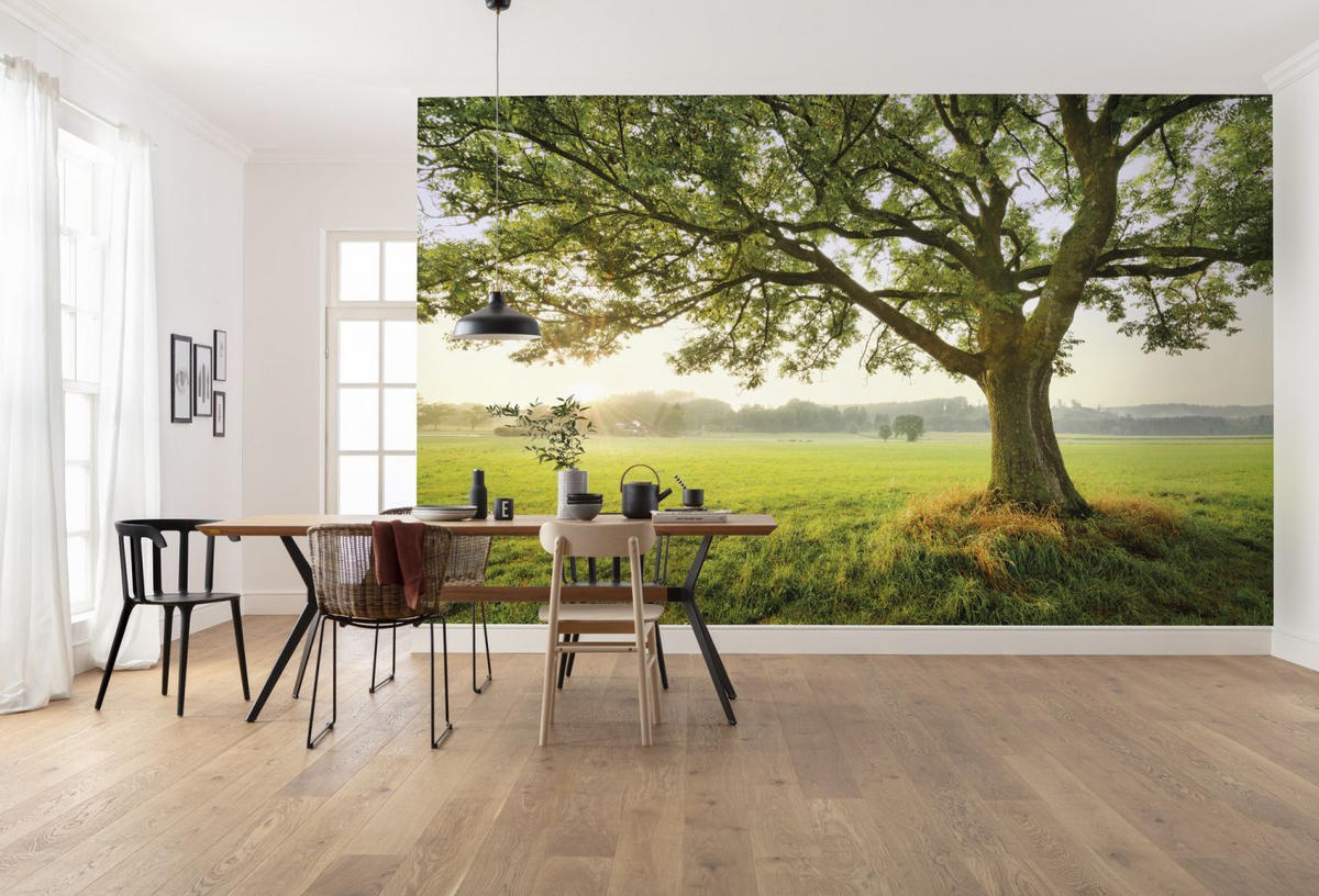 FOTOTAPETE Natur-motiv 450 x 280 cm - Grün, Papier (450/280cm) - Sanders & Sanders