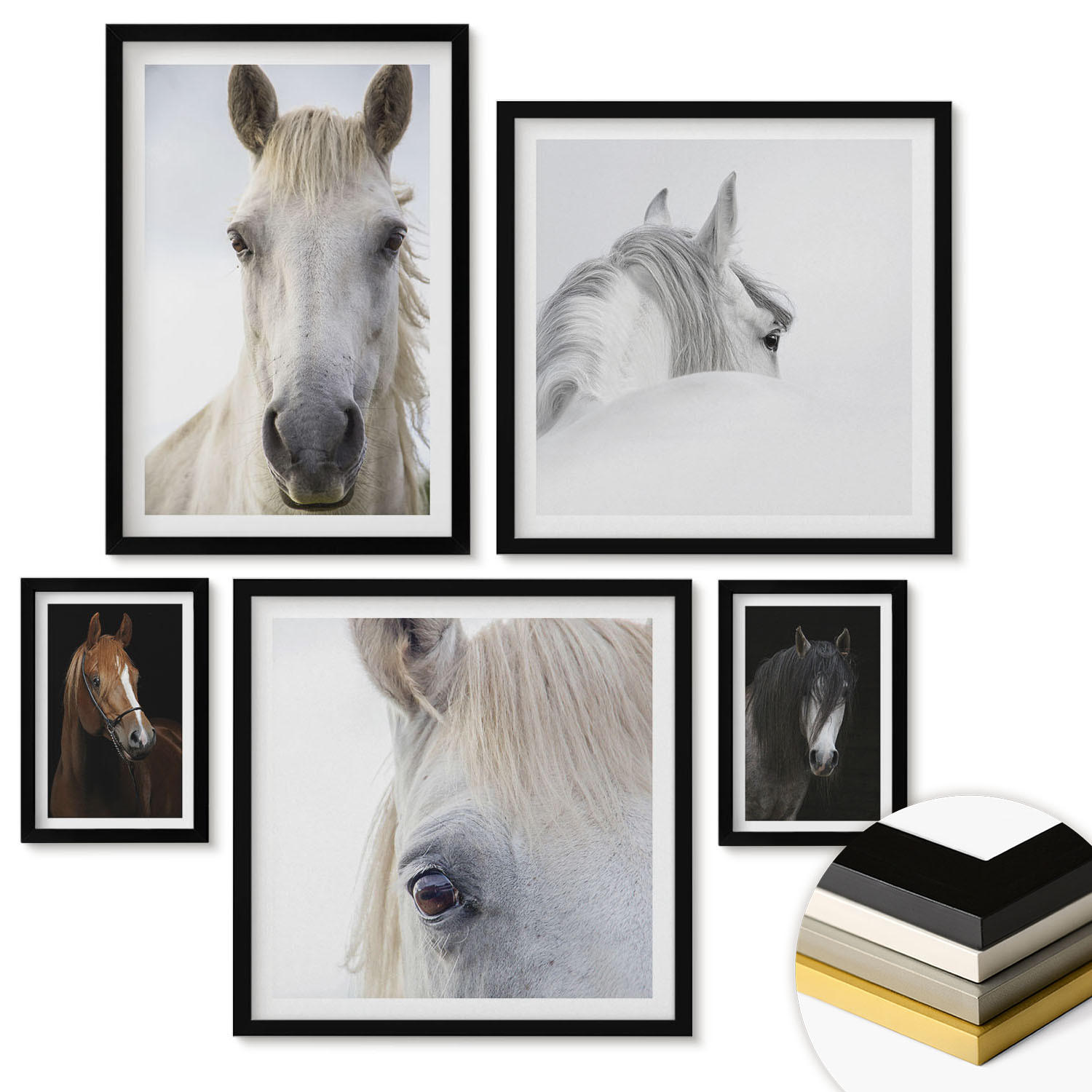 WANDBILDER 5er-Set - 50x50 cm & 20x30 cm & 40x60 cm Schwarzer Rahmen - Pferdeporträts in Schattierungen - Schwarz, Kunststoff (40/60cm) - ArtPrintCave