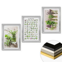 WANDBILDER 3er Set - 20x30 cm Silberner Rahmen - Getrocknete Kräuter für die Küche - Silberfarben, Kunststoff (20/30cm) - ArtPrintCave