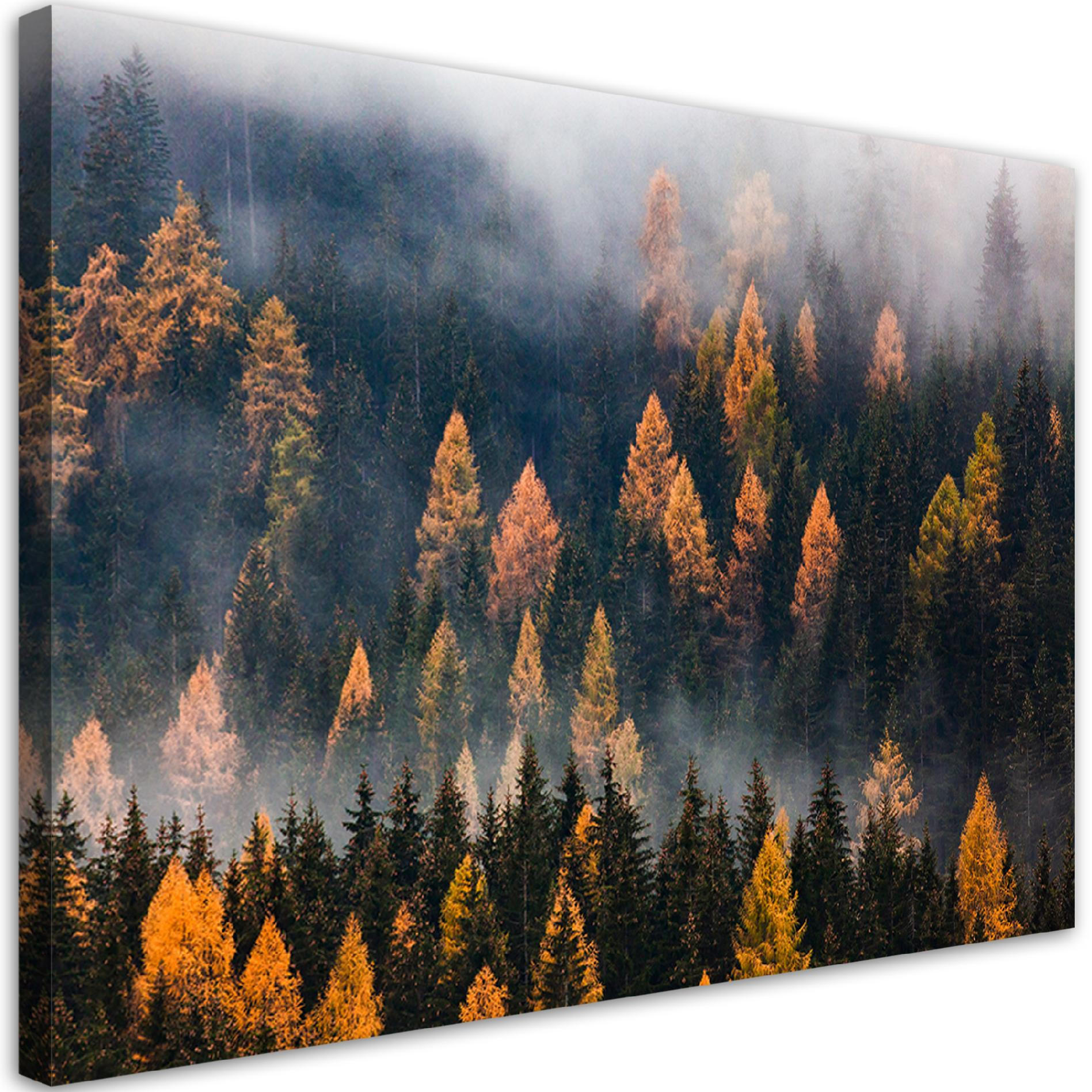 Feeby Wandbild Grün 60x40 cm