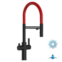 4-WEGE-KÜCHENARMATUR, Schwarz Matt und Rot, 2-Strahl-Brause - Rot, Metall (20.61/48/20.61cm) - VIZIO