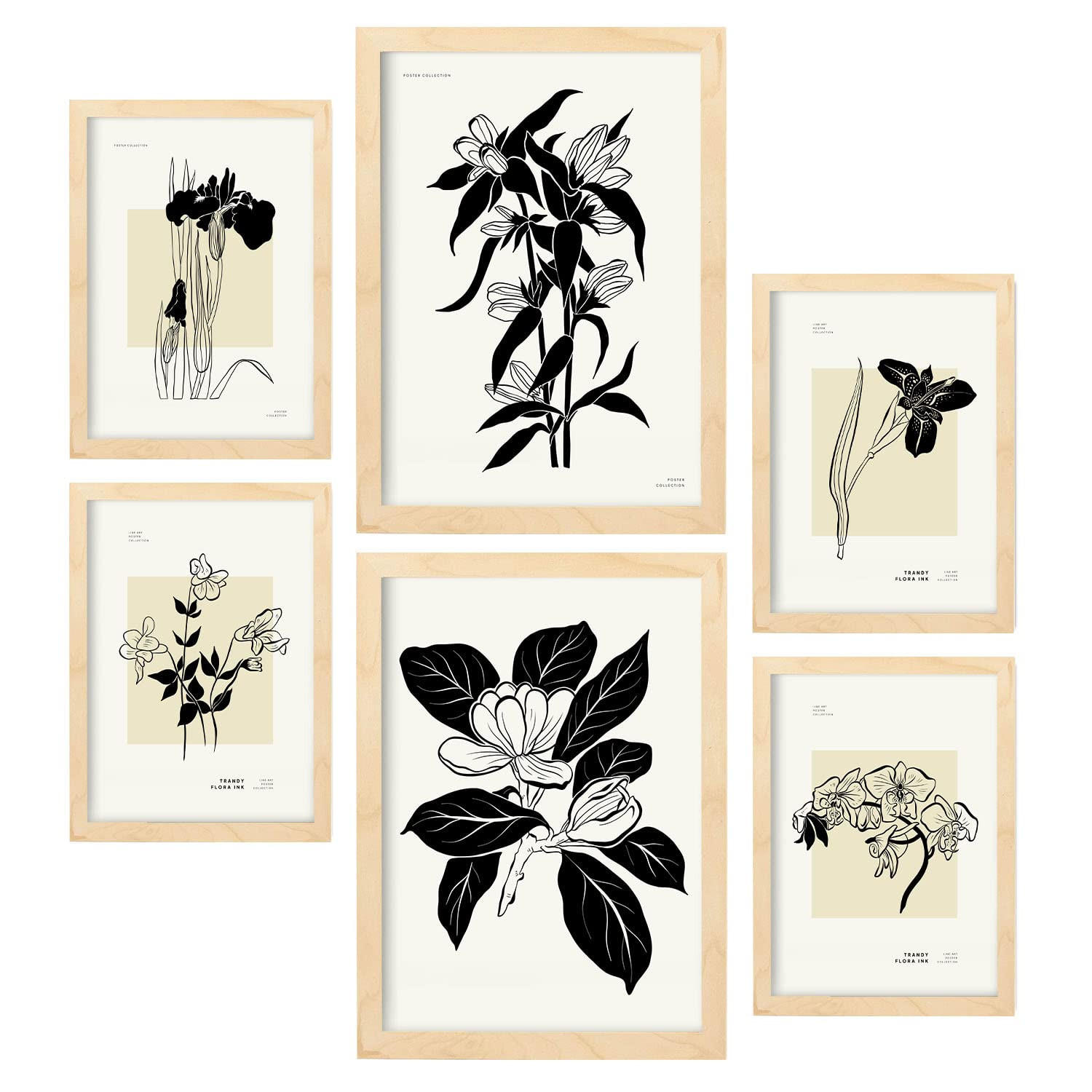 POSTER Set Mit 6 In Schwarzer Tinte Orchideen A3 & A4 Rahmen Aus Hellem Holz - Beige, Papier (29/3cm) - Nacnic