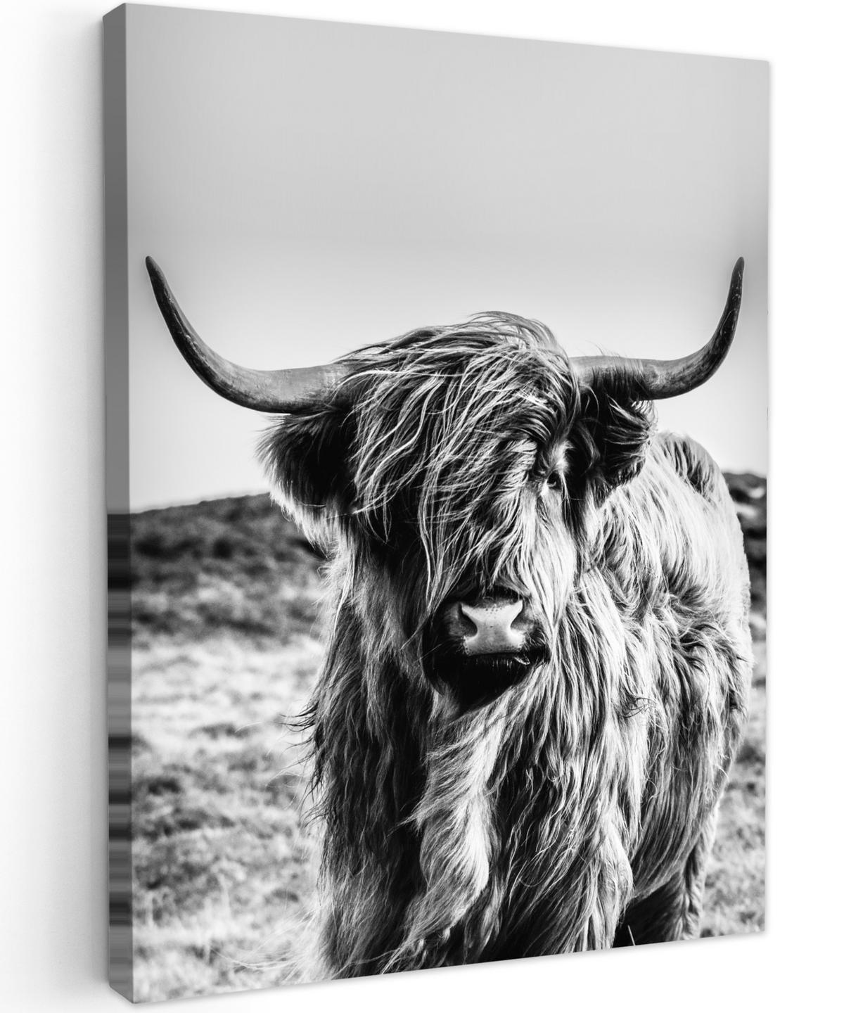 LEINWANDBILD Kuh - Schottischer Hochländer - Schwarz - Weiß - Tier - Natur - Wildtiere 30x40 cm - Schwarz, Textil (30/40cm) - MuchoWow