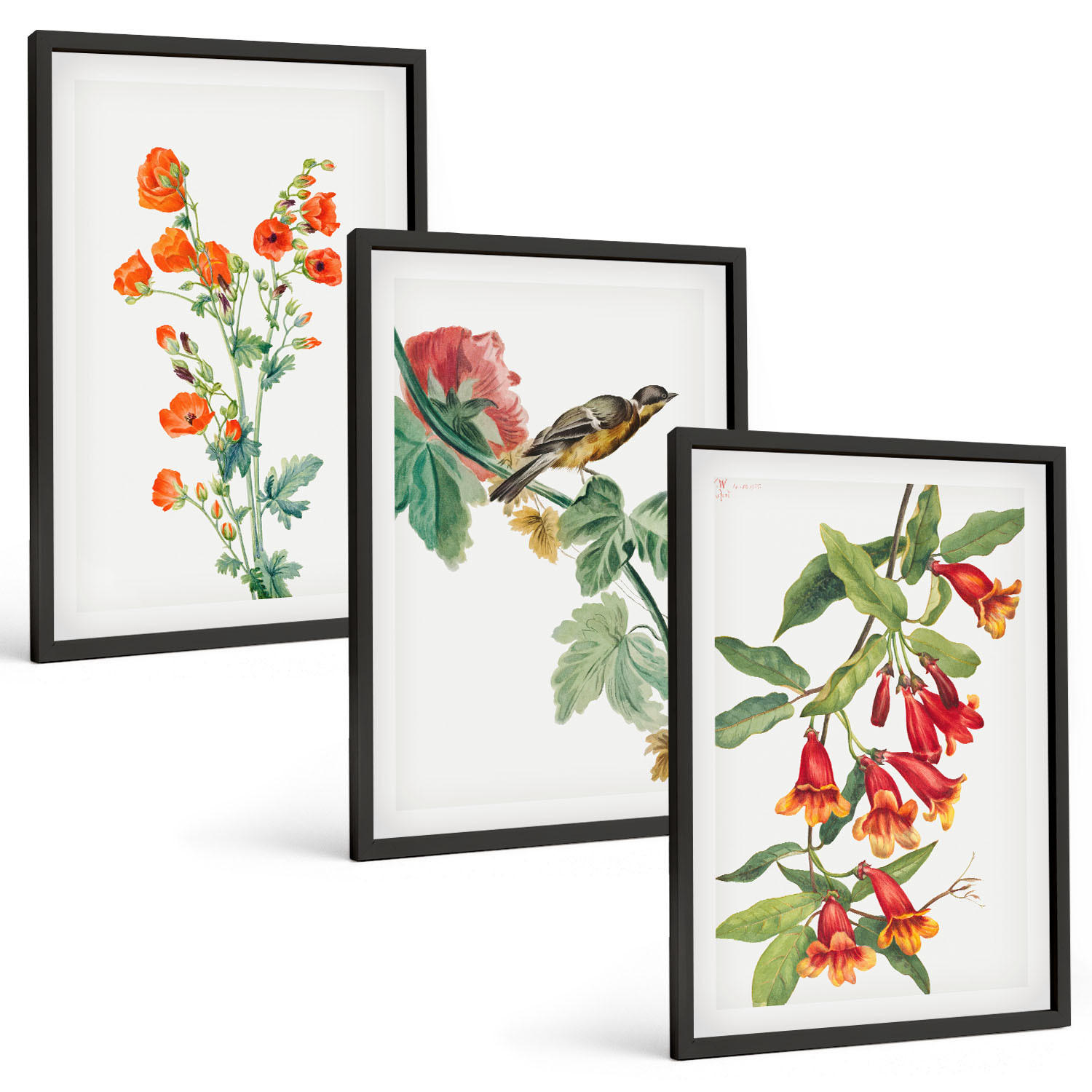 BILDER SET 3er Set - 40x60 cm Schwarzer Rahmen - Gemalte Blumen und ein Vogel - Schwarz, Kunststoff (40/60cm) - TULUP