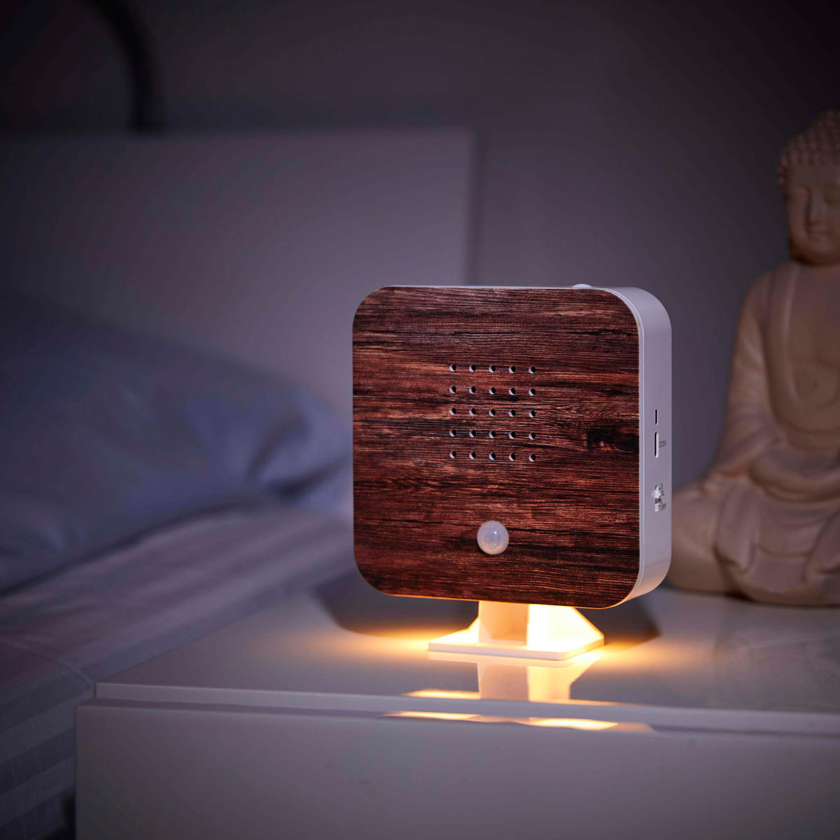 NATURGERÄUSCHEBOX Vogelzwitscher Bewegungsmelder Licht Aufladbar mit Wandhalterung - Braun, Kunststoff (5/13/16cm) - Northpoint