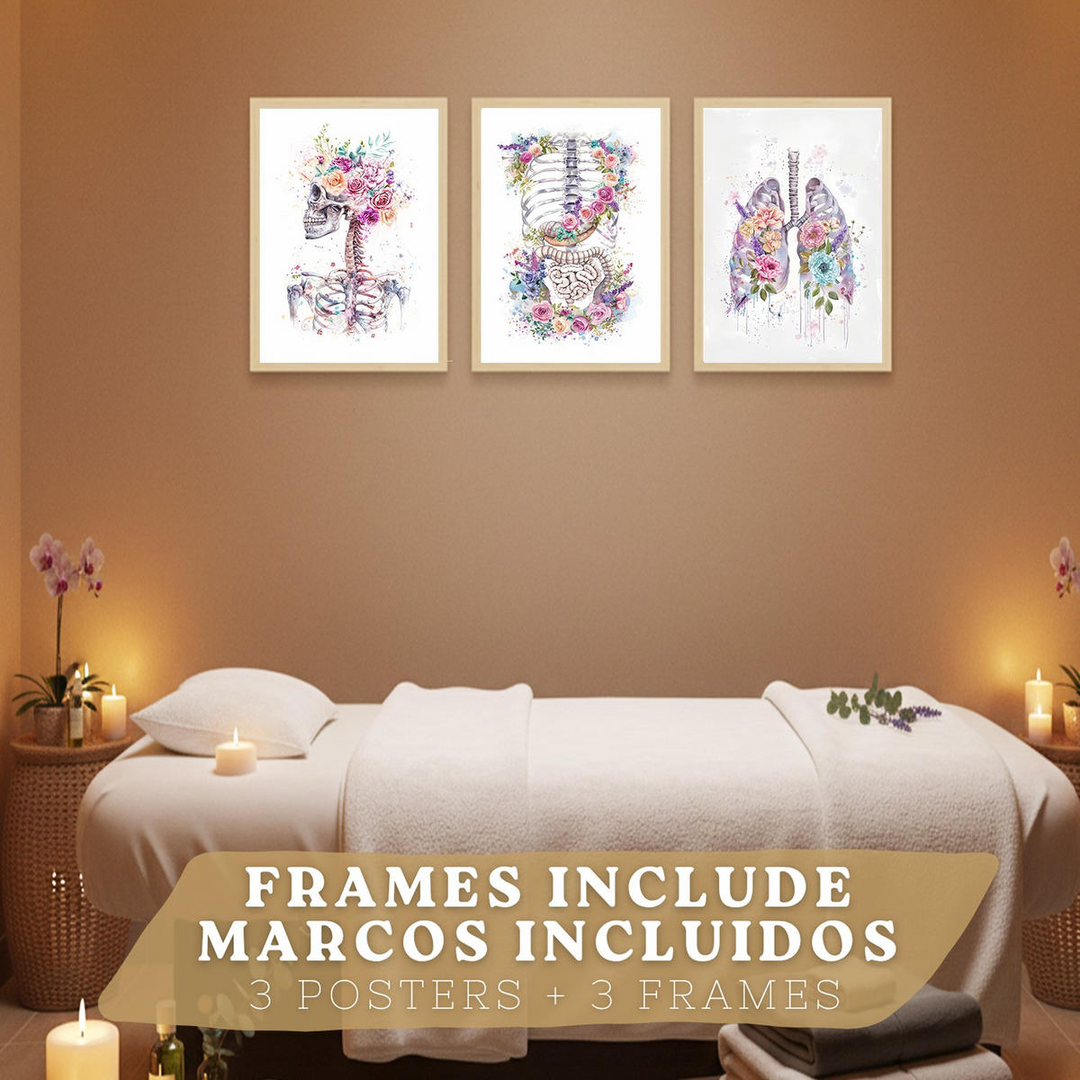 POSTER Set aus 3 Anatomie Drucke mit Skelett Schädel Wirbelsäule Rippen Lungen und Verdauungssystem Künstlerischer Größe Leichter Holzrahmen A3 - Beige, Papier (29.7/42/3cm) - Nacnic