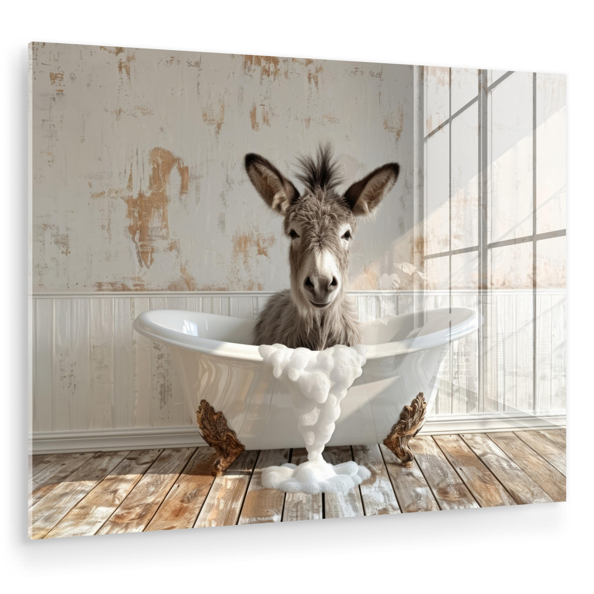 ACRYLGLASBILD Esel - Tiere - Badewanne - Schaumstoff 80x60 cm - Weiß, Glas (80/60cm) - MuchoWow