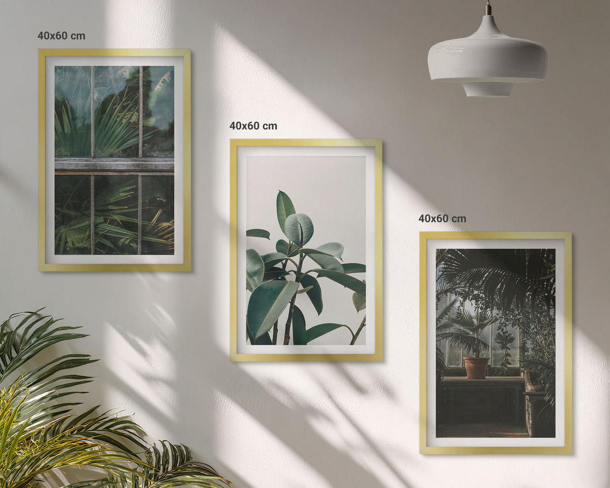 WANDBILDER 3er Set - 40x60 cm Goldrahmen - Grüne Blätter an der Fensterpflanze - Goldfarben, Kunststoff (40/60cm) - ArtPrintCave