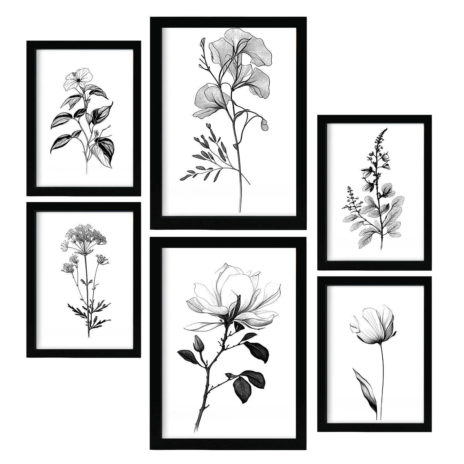 POSTER Set Mit 6 Üppige Blumen Natur Und Botanikdrucke Mit Blumenmotiven In Klassischem Schwarz Und Weiß Innenarchitektur A3 & A4 Schwarzer Rahmen - Schwarz, Papier (29/3cm) - Nacnic