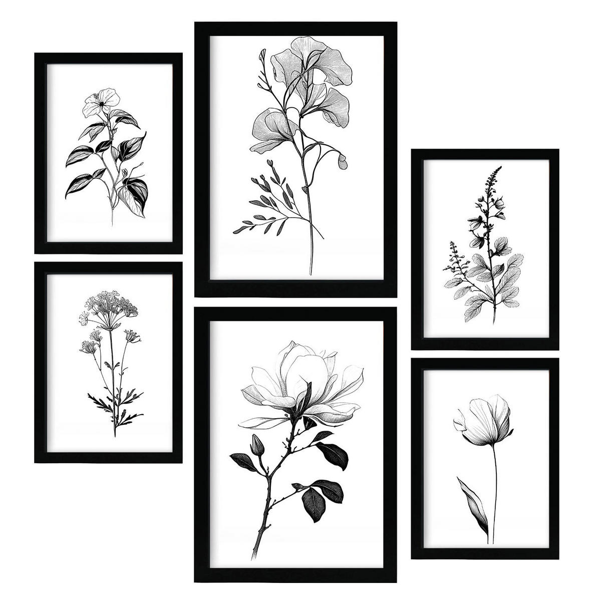 POSTER Set Mit 6 Üppige Blumen Natur Und Botanikdrucke Mit Blumenmotiven In Klassischem Schwarz Und Weiß Innenarchitektur A3 & A4 Schwarzer Rahmen - Schwarz, Papier (29/3cm) - Nacnic