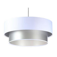 HÄNGELEUCHTE Silber 60/20 cm - Silberfarben/Weiß, Kunststoff (60/1/20cm) - ONZENO