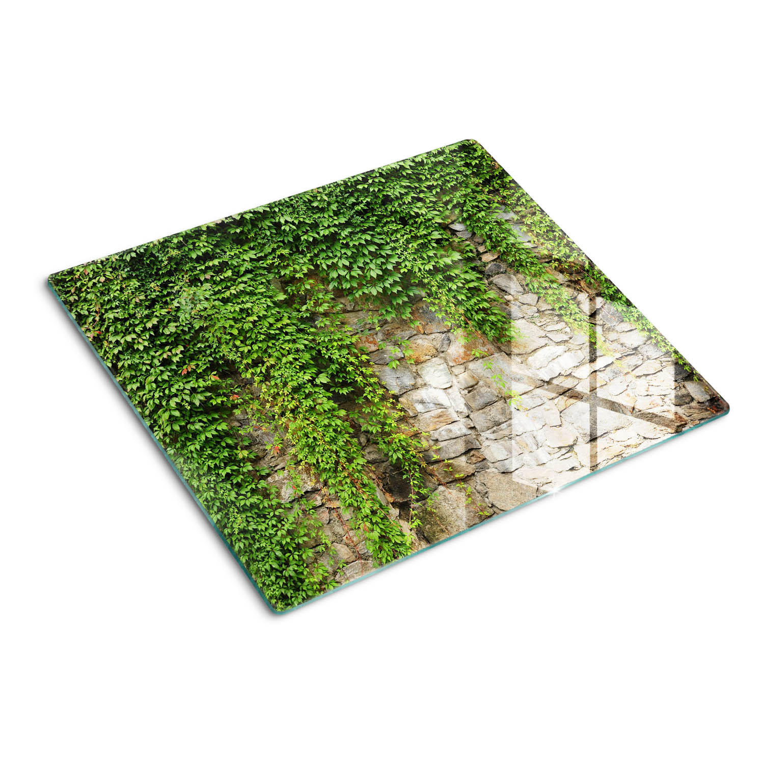 GLASPLATTE 60x52 cm Grüner Efeu - Grün, Glas (60/0.4/52cm) - TULUP