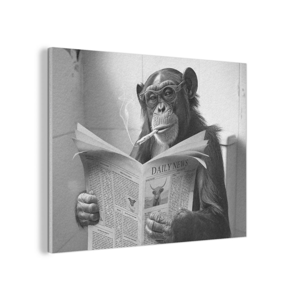 AKUSTIKPANEEL Affe - WC - Zeitung - Schwarz-Weiß - Humor 100x70 cm - Hellgrau, Textil (100/0.9/70cm) - MuchoWow