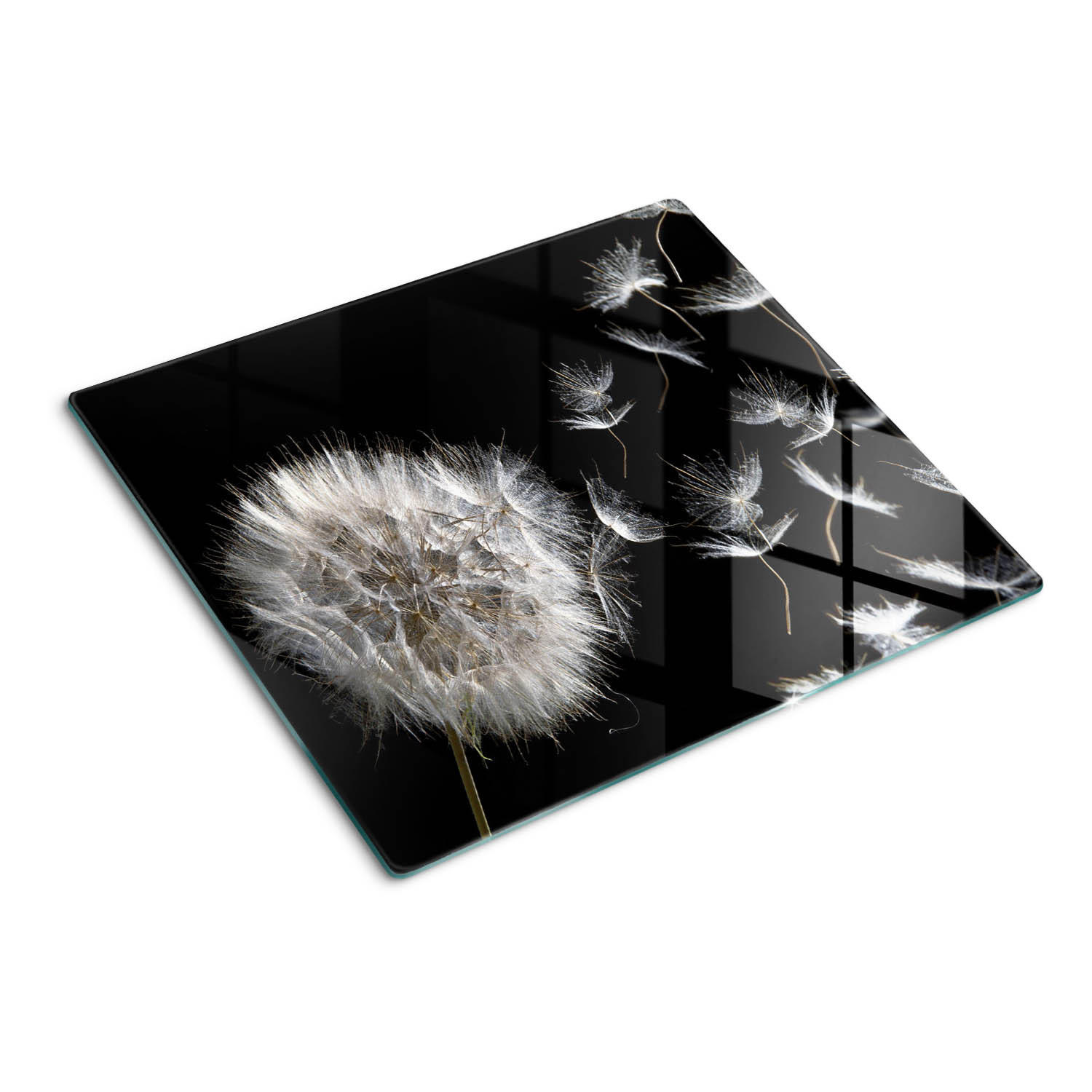 GLASPLATTE 60x52 cm Löwenzahn - Schwarz, Glas (60/0.4/52cm) - TULUP