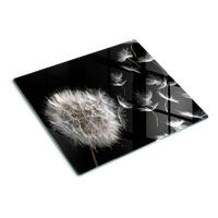 GLASPLATTE 60x52 cm Löwenzahn - Schwarz, Glas (60/0.4/52cm) - TULUP