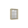 HÄNGEVITRINE 25/60/80 cm mit Spiegel, LED & 2 höhenverstellbaren Glasböden - Transparent/Silberfarben, Glas/Holzwerkstoff (60/80/25cm) - K-Möbel