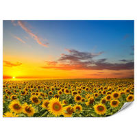 FOTOTAPETE für Küche Sonnenuntergang Sonnenblumenfeld Blumen 450x315 - Gelb/Orange, Papier (450/315cm) - Muralo