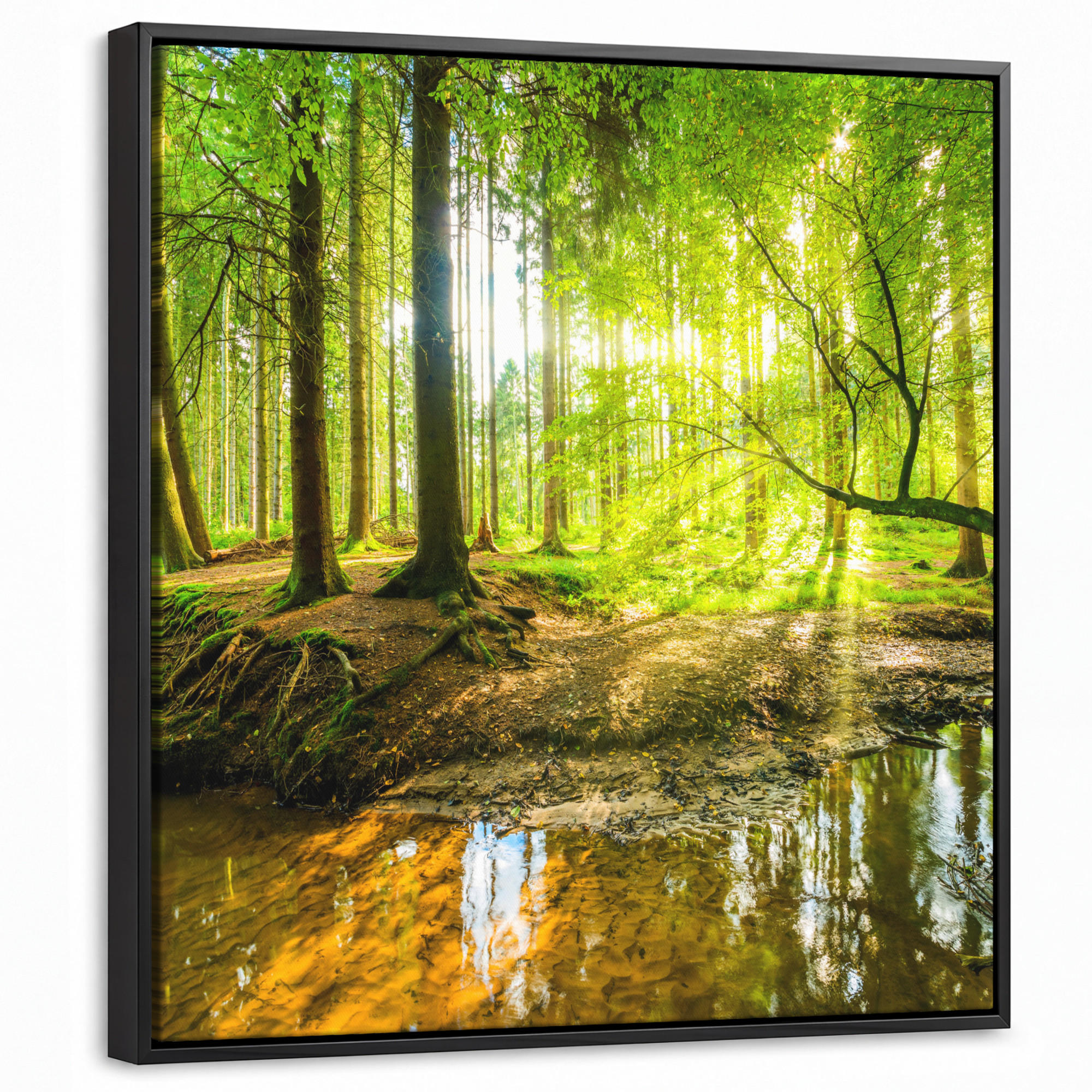 LEINWAND Bilder mit Rahmen - Wald - Landschaft - Wasser - Bäume - Sonne - Grün - Natur - 50x50 - Grün, Textil (50/50cm) - MuchoWow