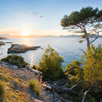 FOTOTAPETE Landschaft 400 x 280 cm - Grün, Papier (400/280cm) - Sanders & Sanders