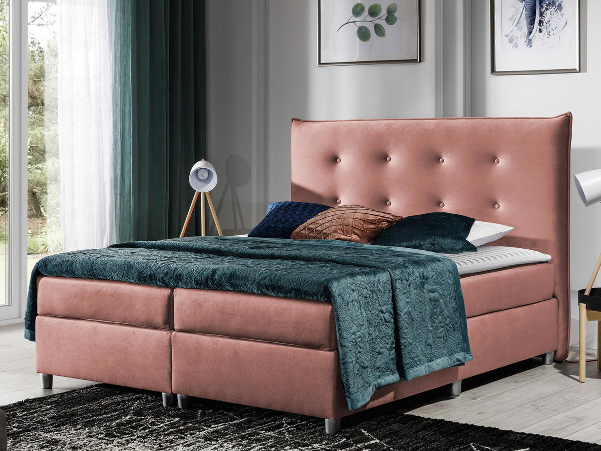 BOXBETT Prato - Rosa, Holz (140/200cm) - MIRJAN24