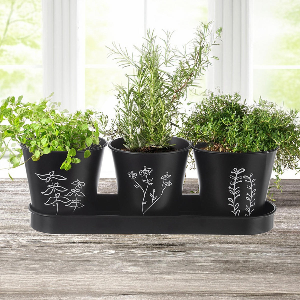 KRÄUTERTOPF-SET BLACKLINE, Metall, schwarz, 4-teilig - Schwarz, Metall (11/10.5cm) - Orion 