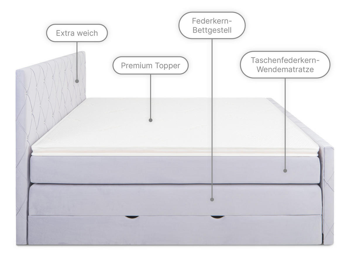 BOXSPRINGBETT Dubai Lila 160 /200 cm H2/H3 Samt - Lila, Textil (160/200cm) - wonello