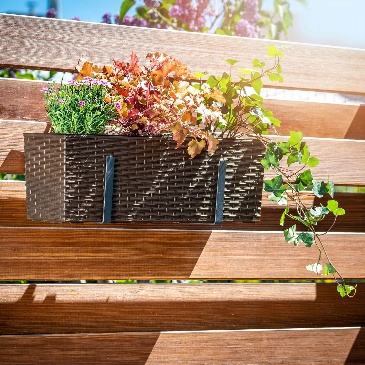 BLUMENKASTEN mit Einsatz und 2 Griffe 56 cm, Mokka - Mokka, Kunststoff (18/56cm) - KADAX