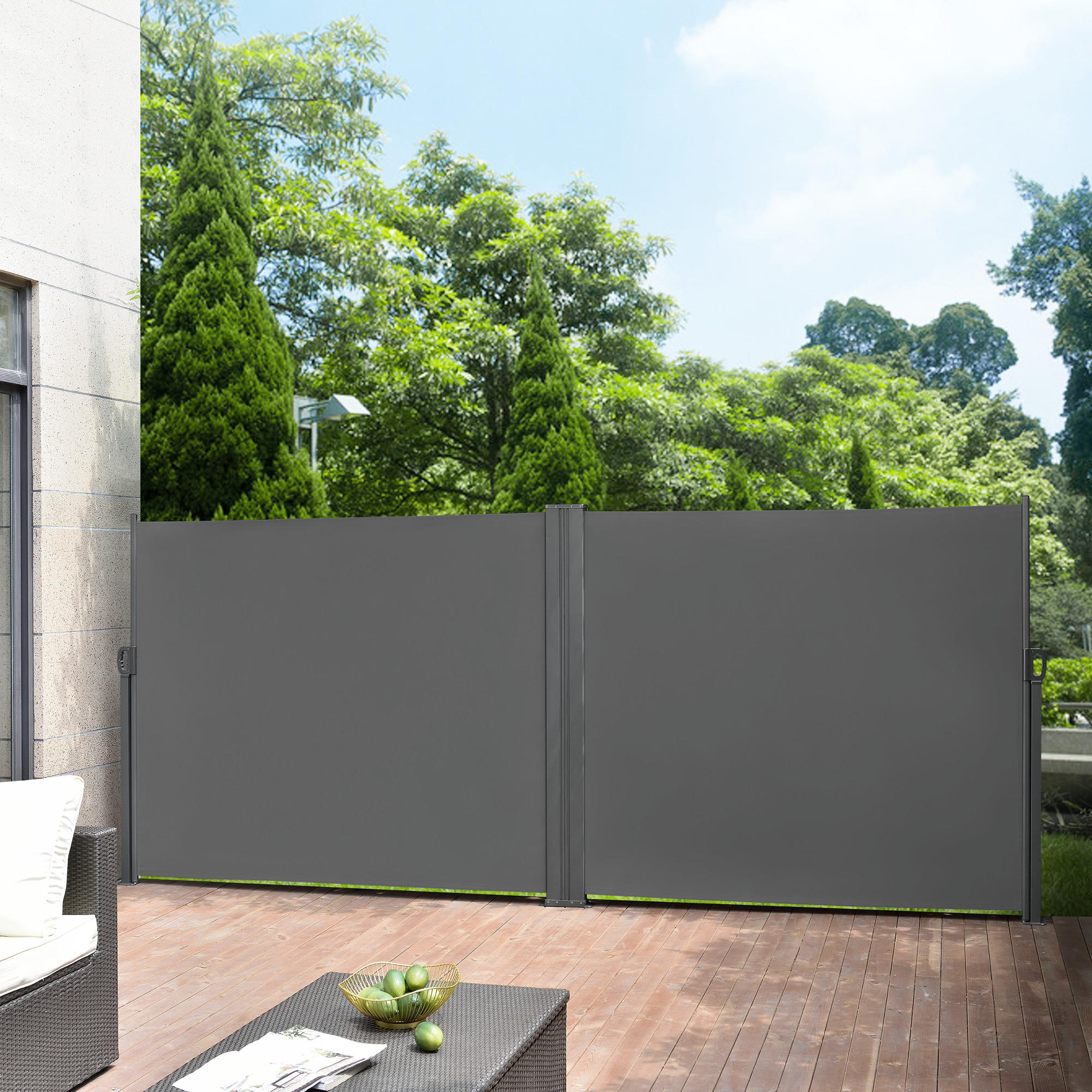 SEITENMARKISE Alcazaba - Grau, Textil (300/160cm) - pro.tec