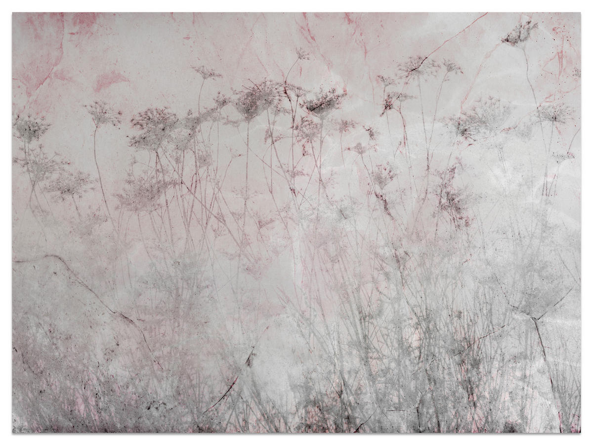 FOTOTAPETE für Schlafzimmer Blumen Wiese Gras Zarte Landschaft 400x280 - Violett/Rosa, Papier (400/280cm) - Muralo