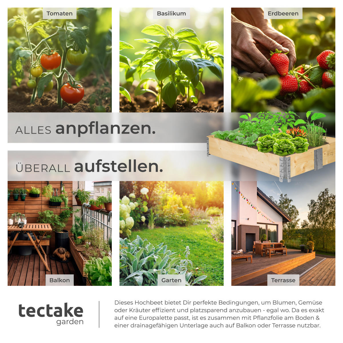 HOCHBEET 1er Set, 120 x 80 x 19 cm, holzdekor - Eiche Artisan, Holz (80/19/120cm) - tectake