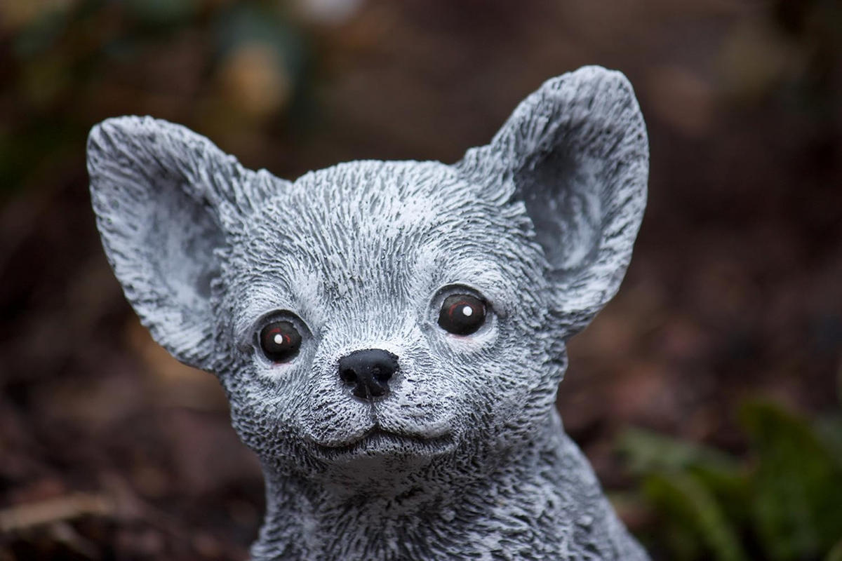 STEINFIGUR Chihuahua Hund, Frostfest, Steinguss - Grau, Stein (12/16/14cm) - stoneandstyle