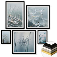 WANDBILDER 5er-Set - 50x50 cm & 20x30 cm & 40x60 cm Schwarzer Rahmen - Tautropfen auf Löwenzahn - Schwarz, Kunststoff (40/60cm) - ArtPrintCave