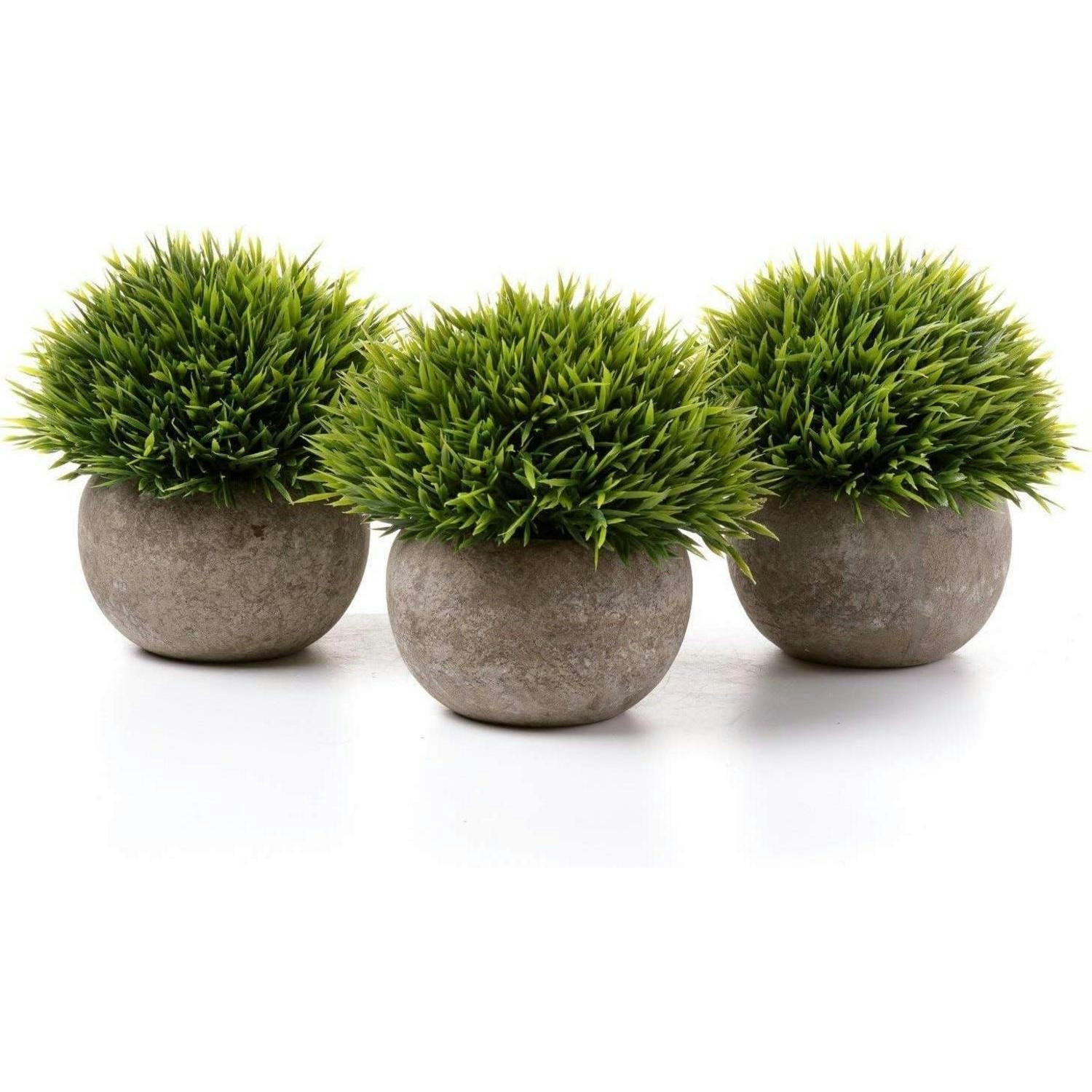 KUNSTPFLANZEN 3er-Set Beton-Optik Grau - Grün, Kunststoff (12.5cm)