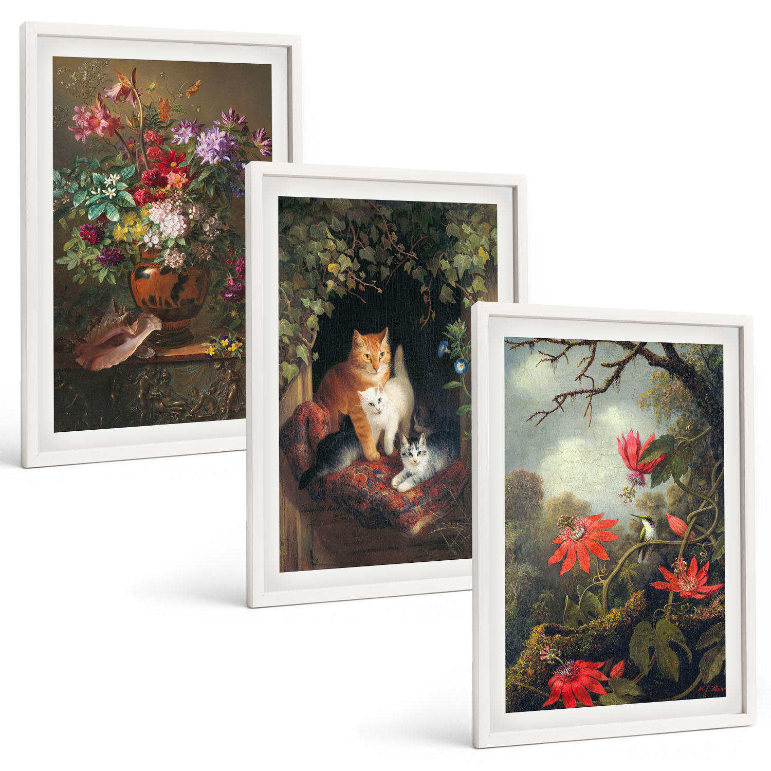 BILDER SET 3er Set - 40x60 cm Weißer Rahmen - Vintage-Blumen, Katzen, Natur - Weiß, Kunststoff (40/60cm) - TULUP