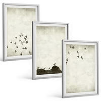 BILDER SET 3er Set - 40x60 cm Silberner Rahmen - Vögel im Flug, minimalistischer Stil - Silberfarben, Kunststoff (40/60cm) - TULUP