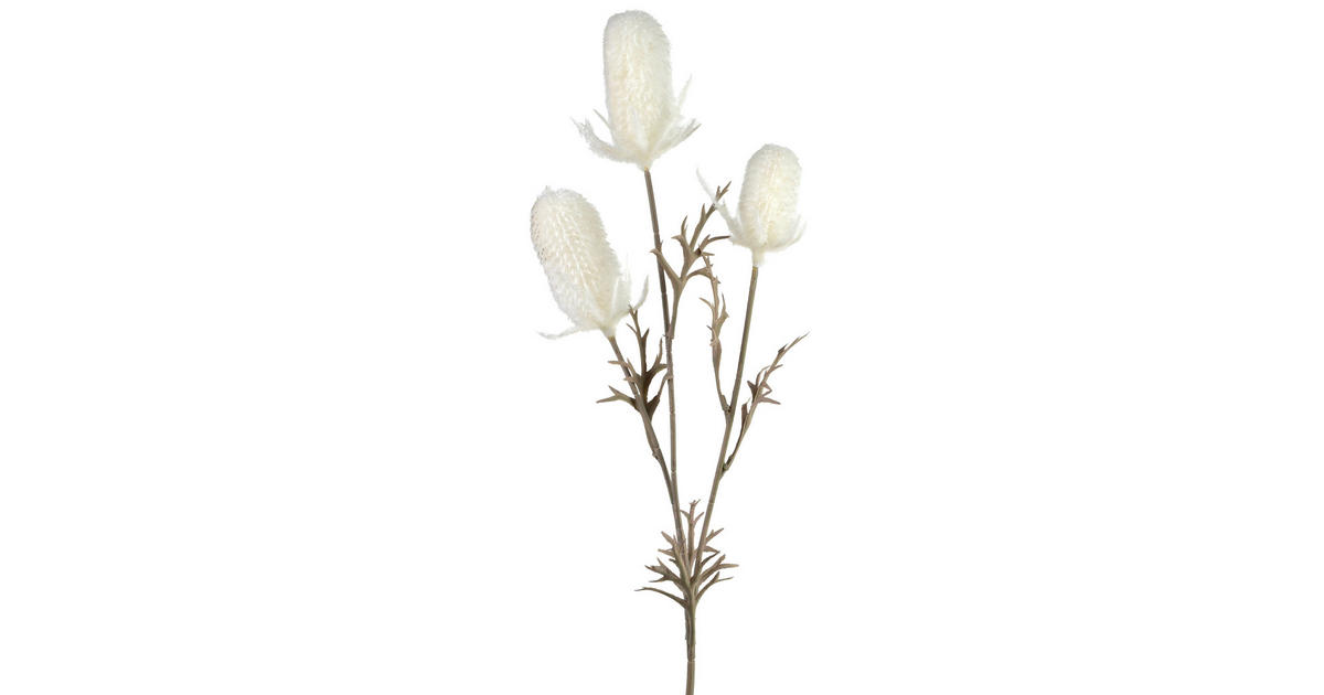 Mondex DEKORATIONSZWEIG Distel 70cm Kunststoff jetzt nur online XXXLutz.de
