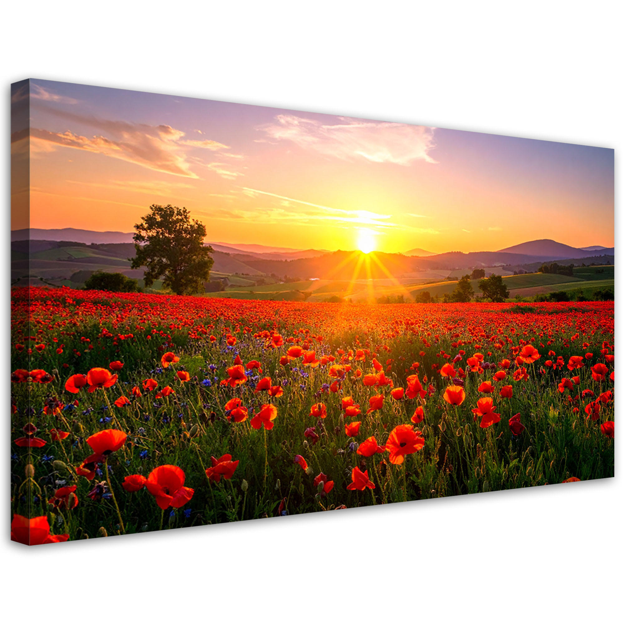 LEINWANDBILD Landschaften 120x60cm - Rot, Textil (120/60cm) - Feeby